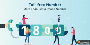 toll free number services