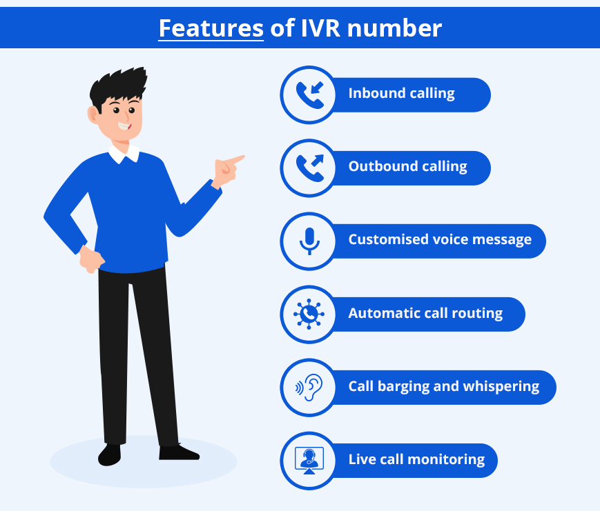 IVR number features